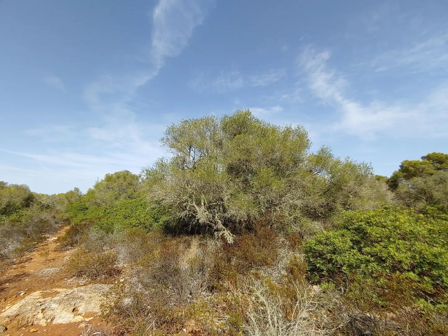 Residencial en venta en Polígono Parcela 12, Cala Pi - Vallgornera