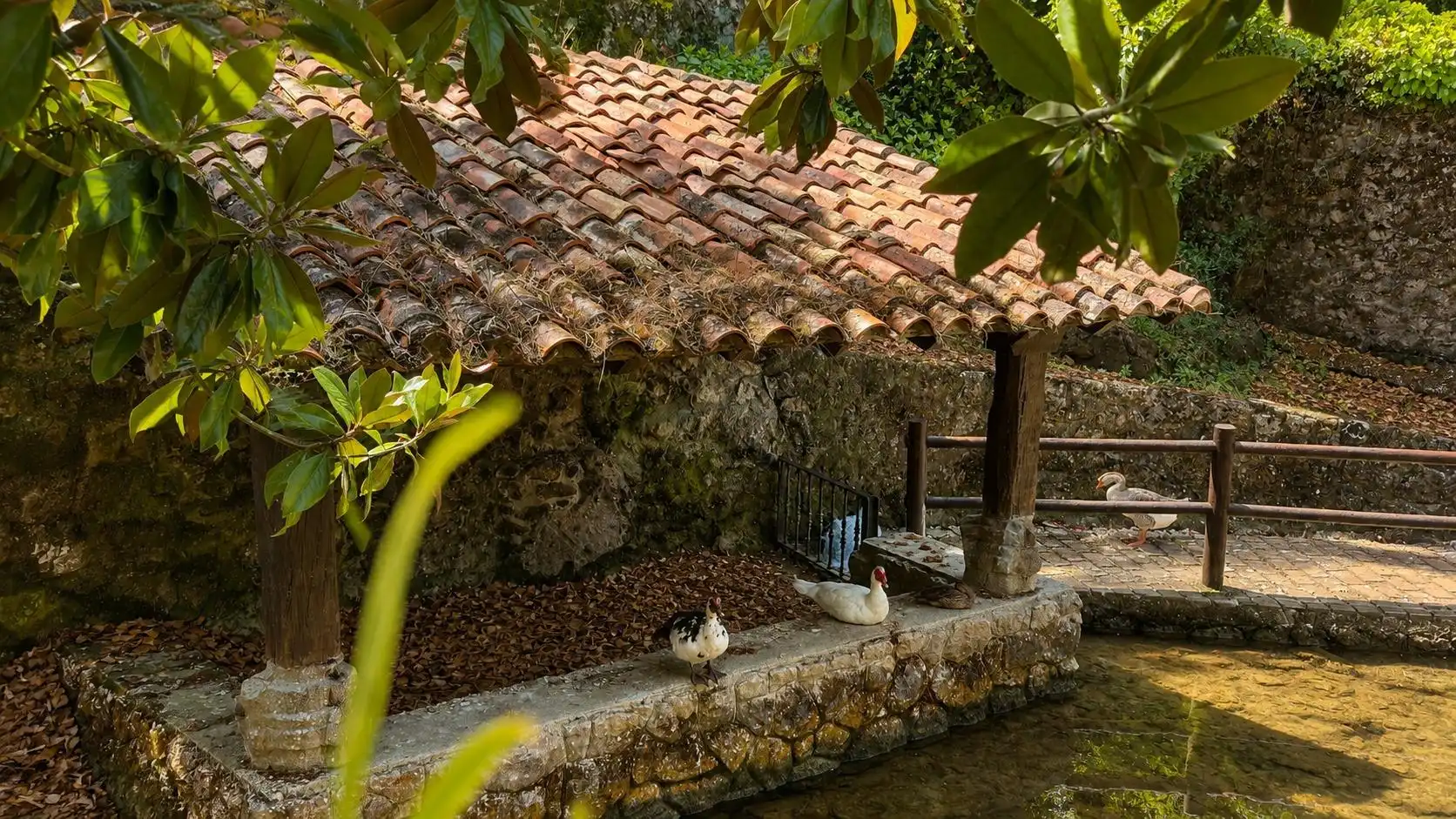 Casa o xalet en venda en Alfoz de Lloredo amb Calefacció i Jardí privat