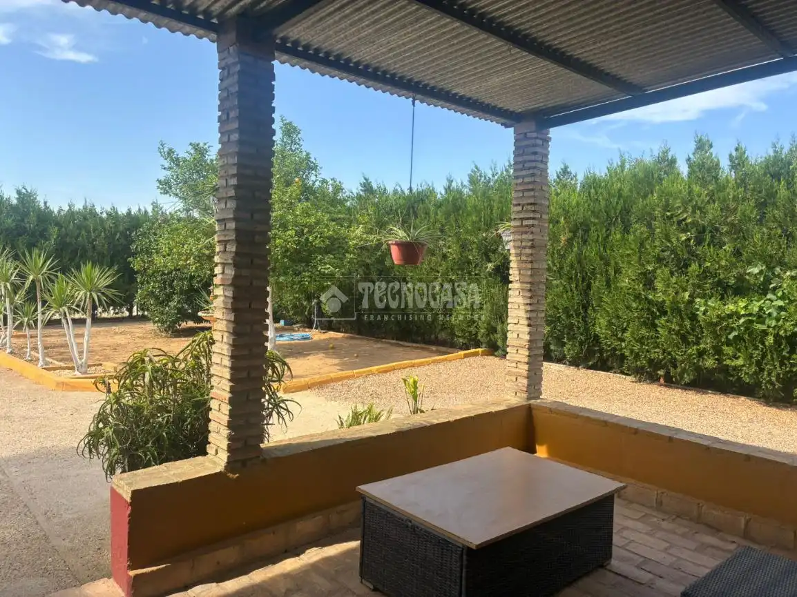 Terrace of Country homes for sale in Pilas  with Private garden