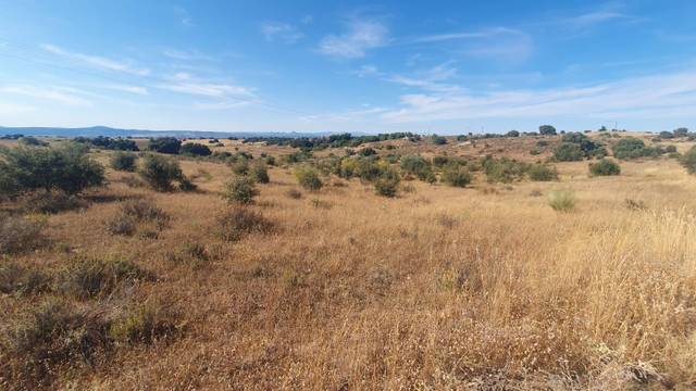 Terreno en Venta en La Torre de Esteban Hambrán