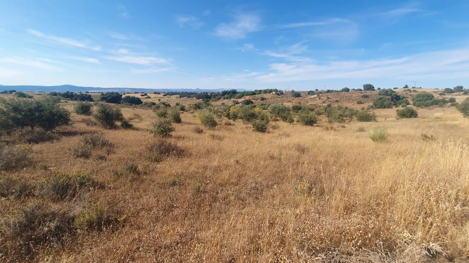 Land for sale in La Torre de Esteban Hambrán