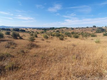 Rural land for sale in La Torre de Esteban Hambrán