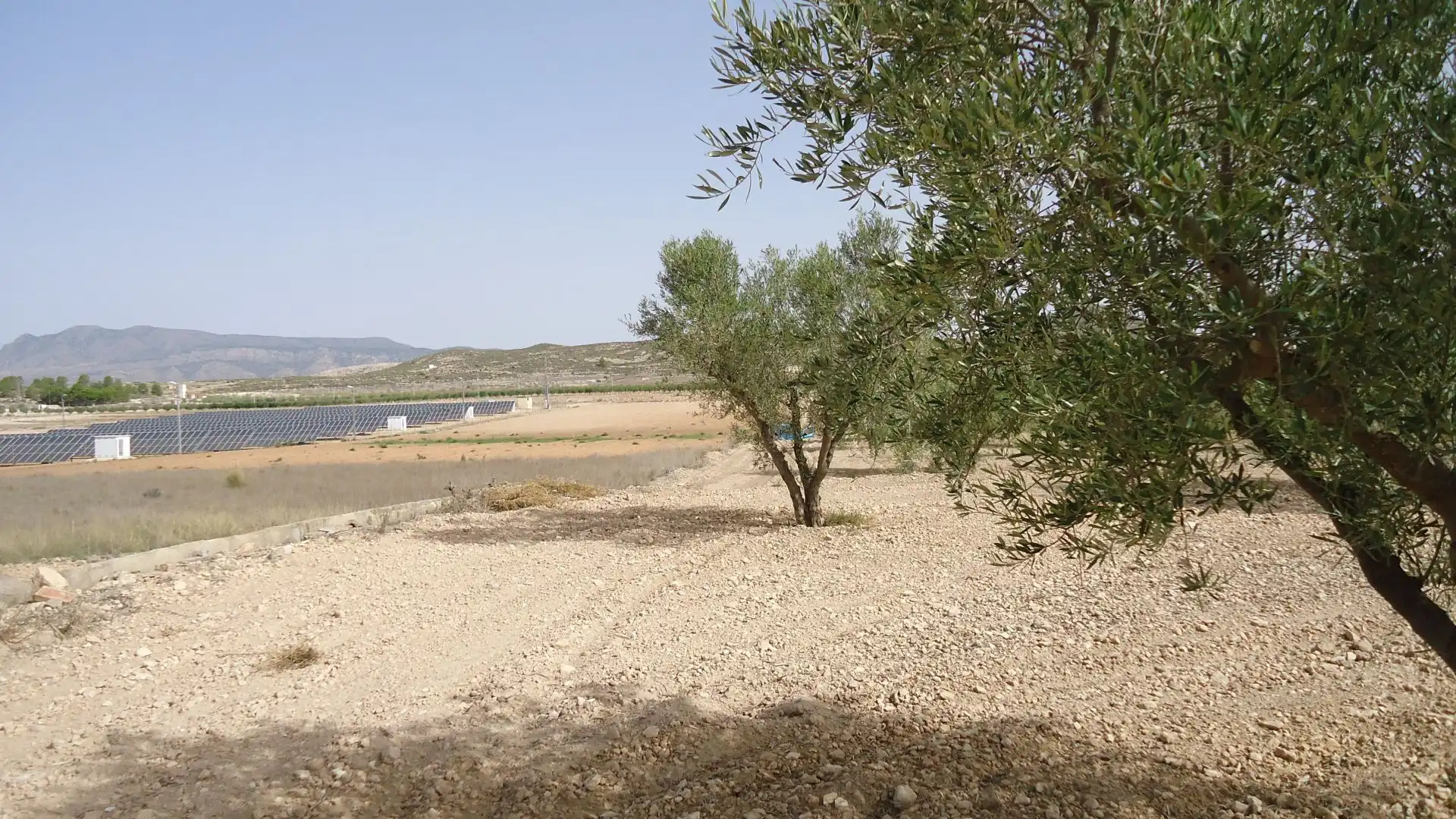 Rustikales Grundstück zum Verkauf in Jumilla, imagen 16
