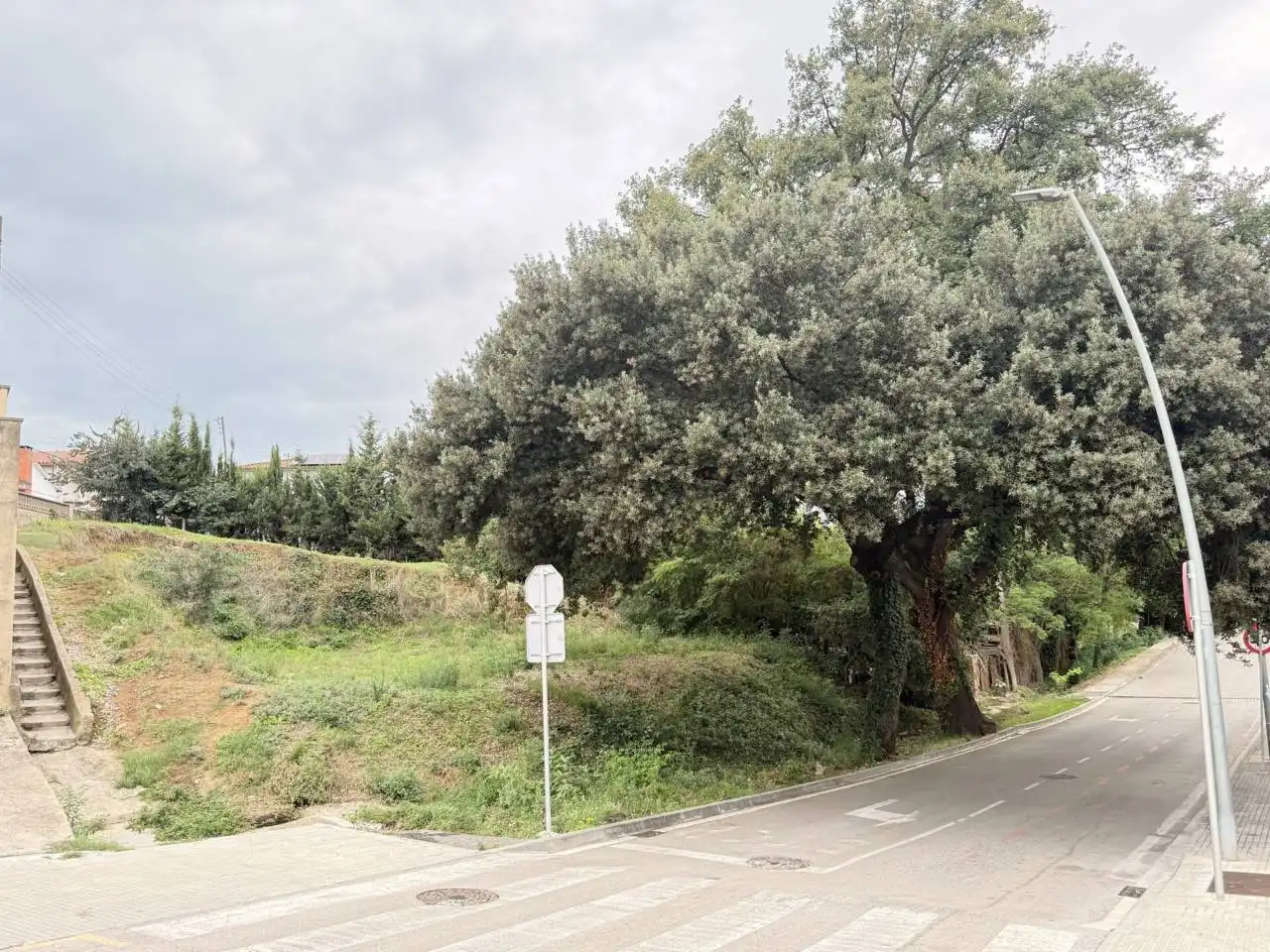 Terreno residencial en venta en Calle Alzines, imagen 3