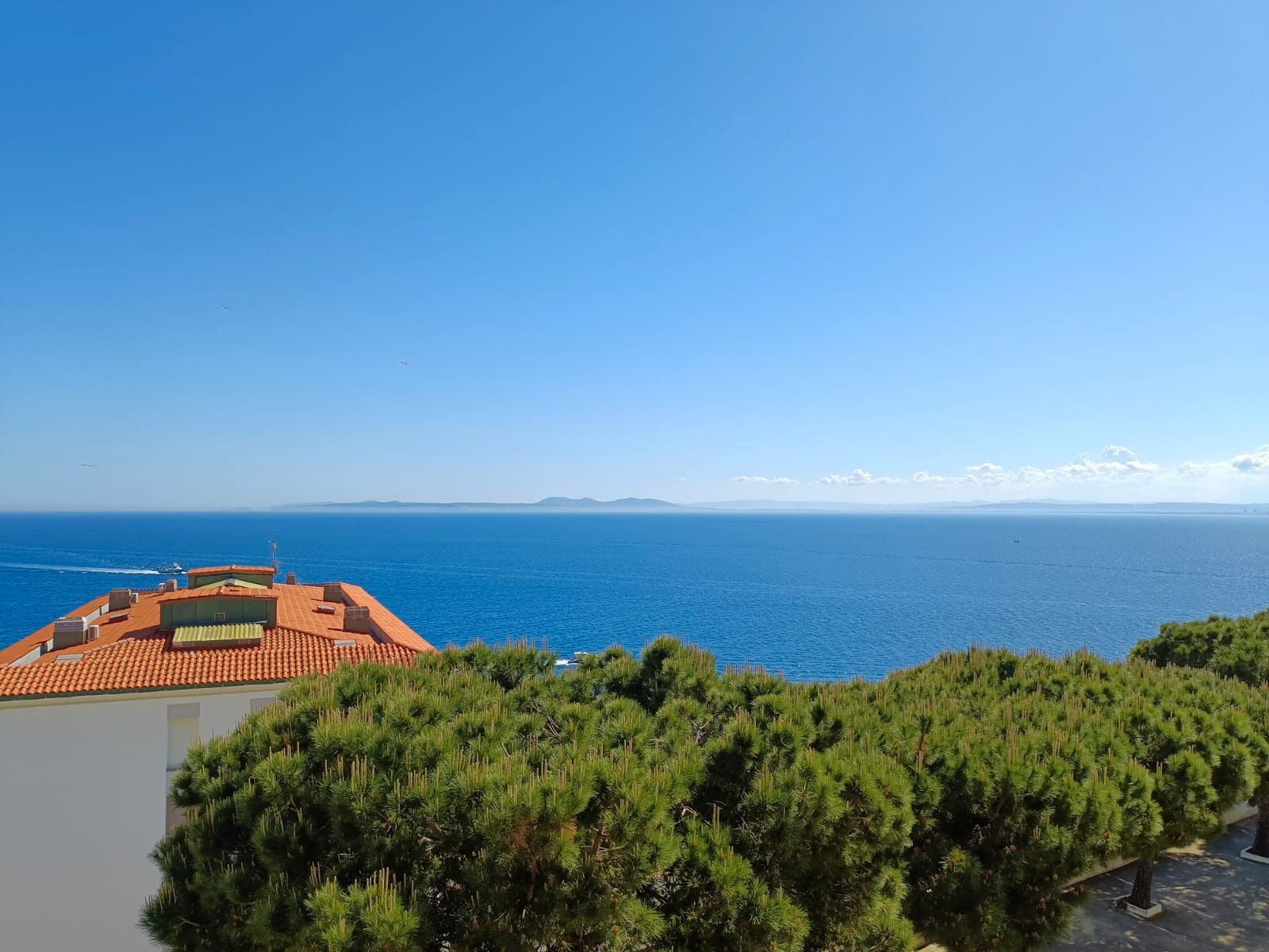 Exterior view of Flat for sale in Roses  with Heating, Terrace and Furnished