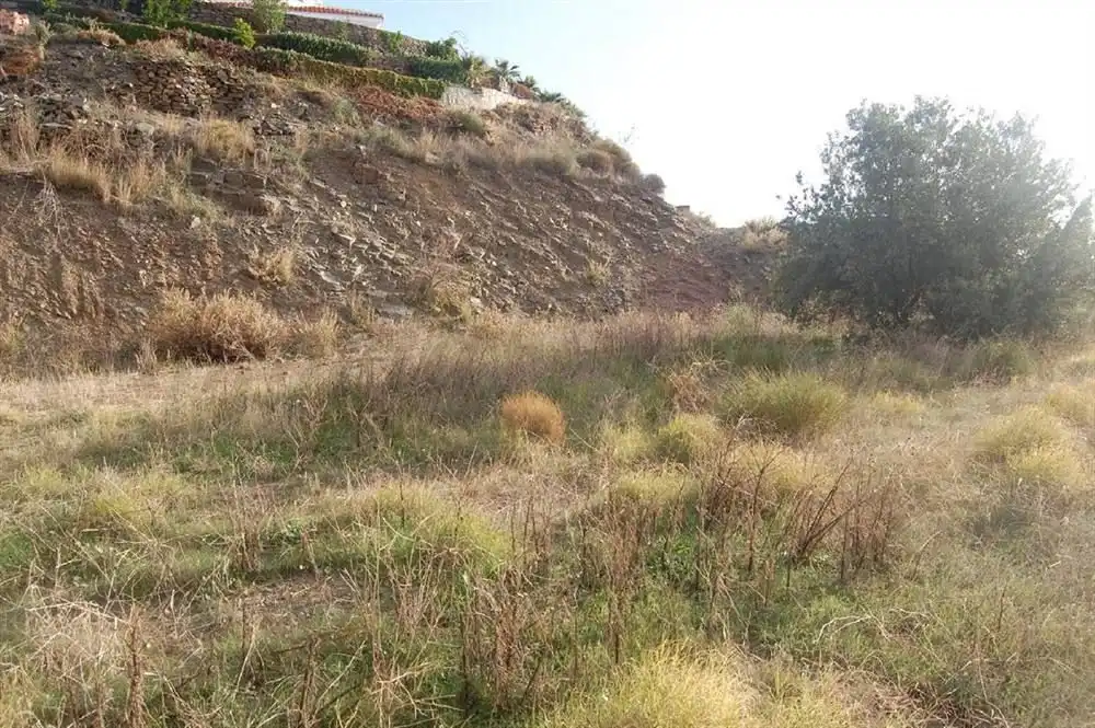 Terreny rústic en venda a Sayalonga, imagen 3