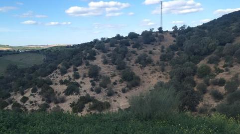 Foto 2 de Terreny en venda a Calle de la Fuente, 9, Algar, Cádiz