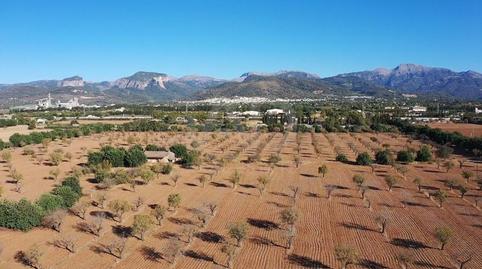 Photo 5 of Residential for sale in Gran Via de Colom, Illes Balears