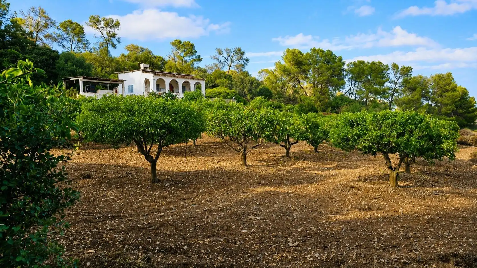 Casa rústica en venta en Algaida