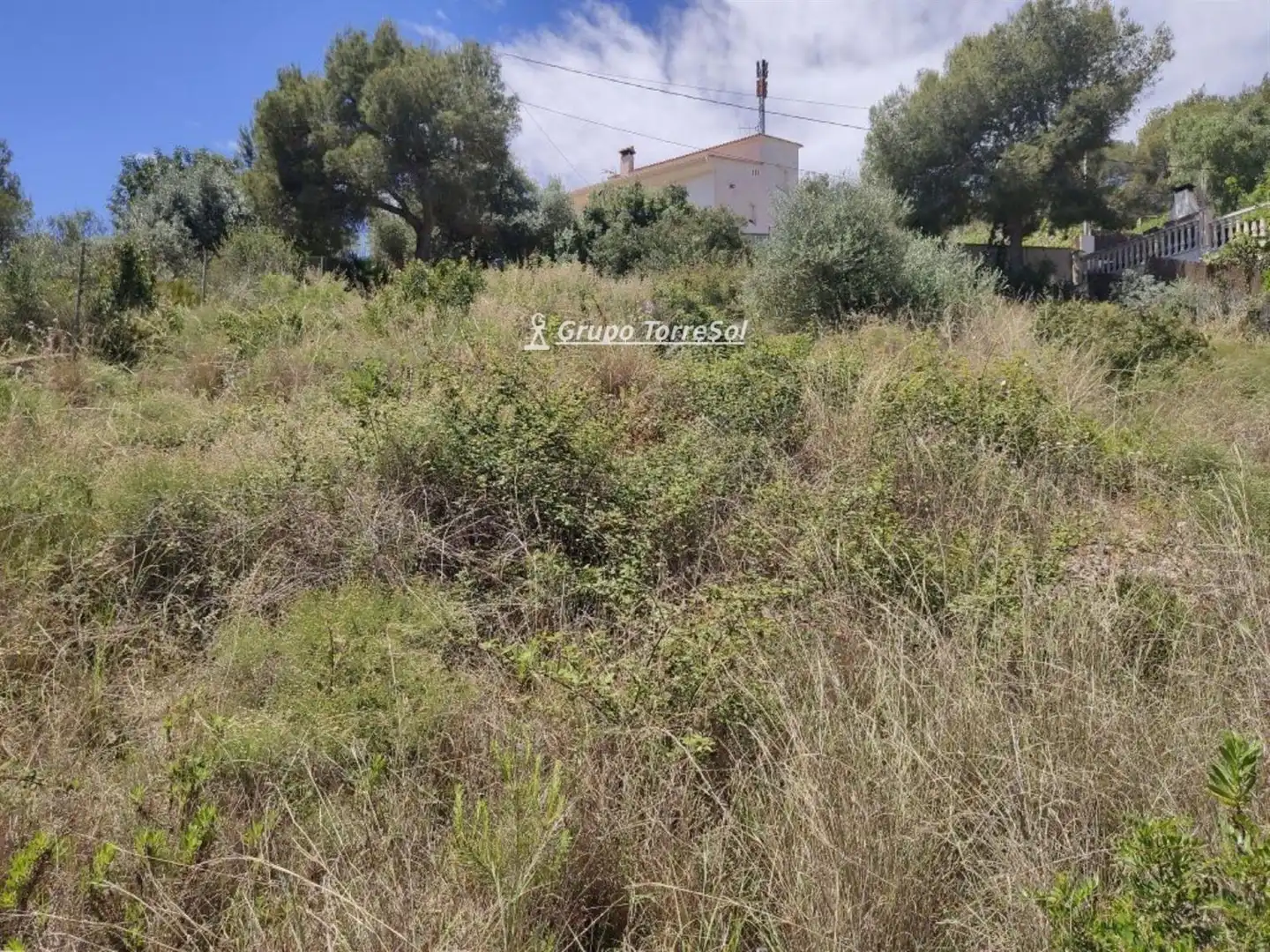 Terrain rustique à vendre à Fortuny, imagen 2