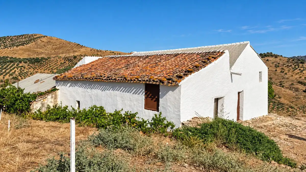 Casa rustica in vendita a Almáchar, imagen 31
