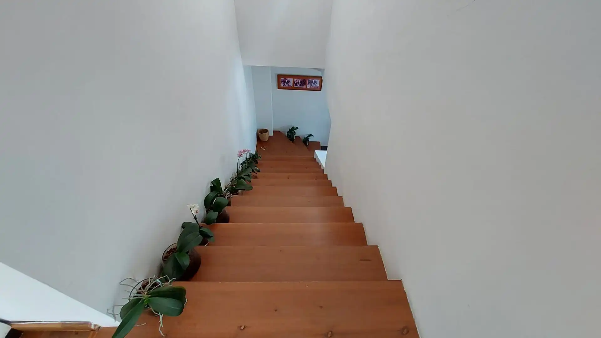 Maison avec piscine à vendre à Bell Racó, imagen 26