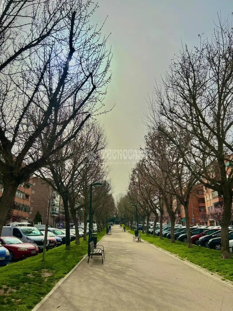 Außenansicht von Garage zum Verkauf in San Fernando de Henares