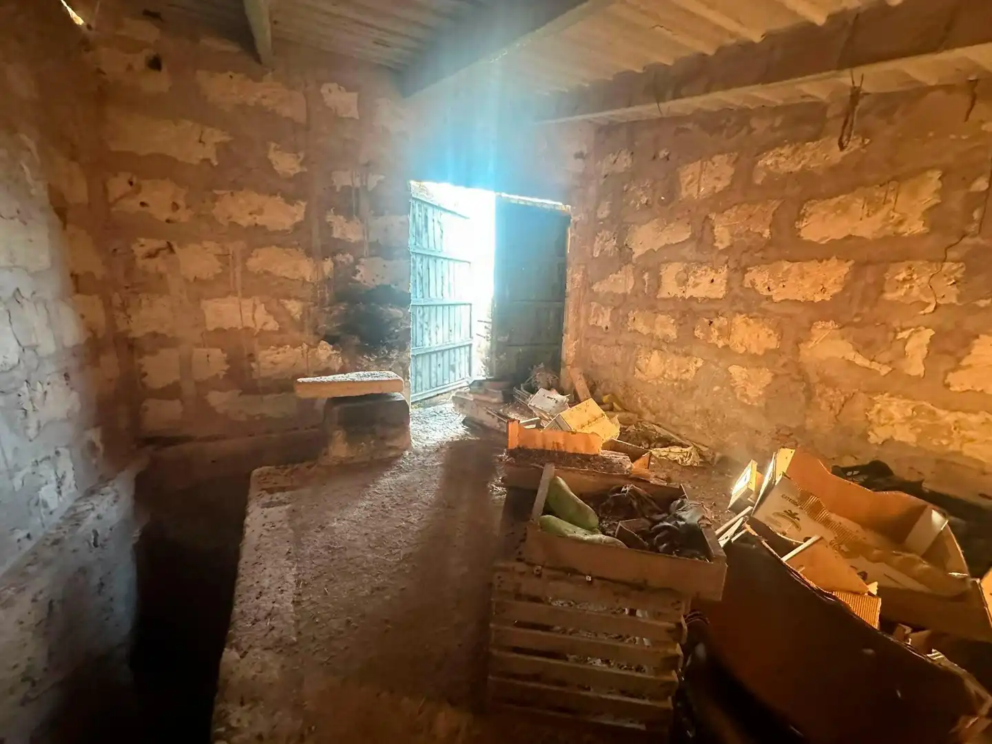 Terrain rustique à vendre à Sant Joan, imagen 5