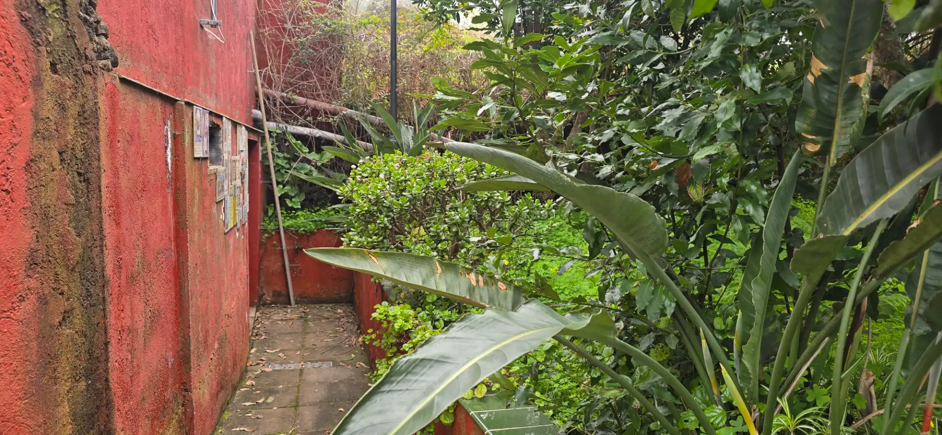 Casa rustica con giardino in vendita a Calle Vereda del Señor 117, imagen 49