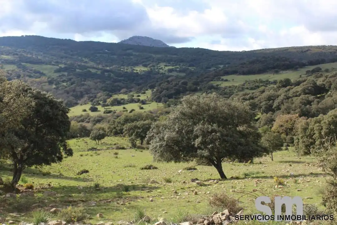 Terreni e lotti in vendita a Cortes de la Frontera, imagen 13