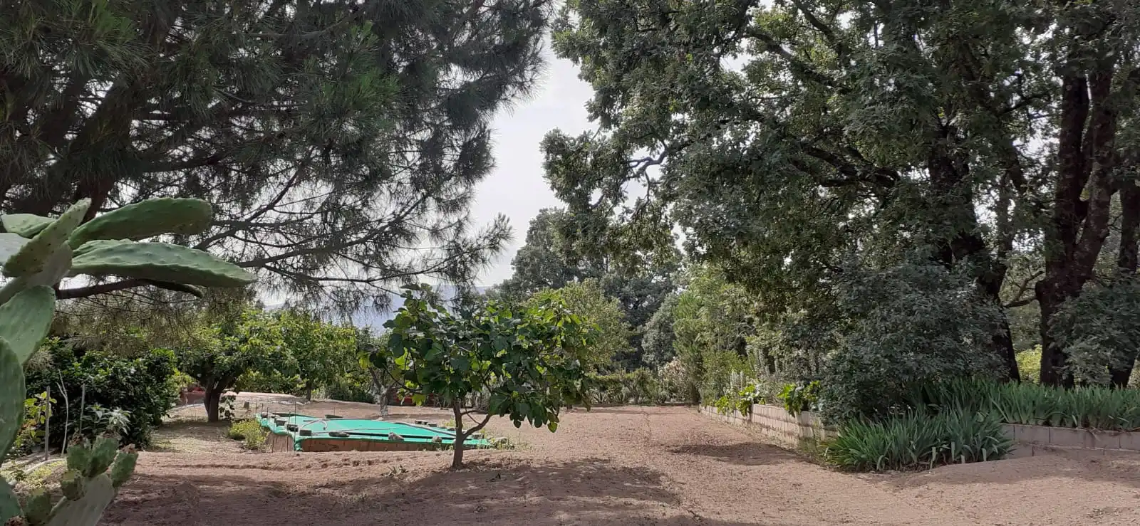 Land for sale in Jarandilla de la Vera