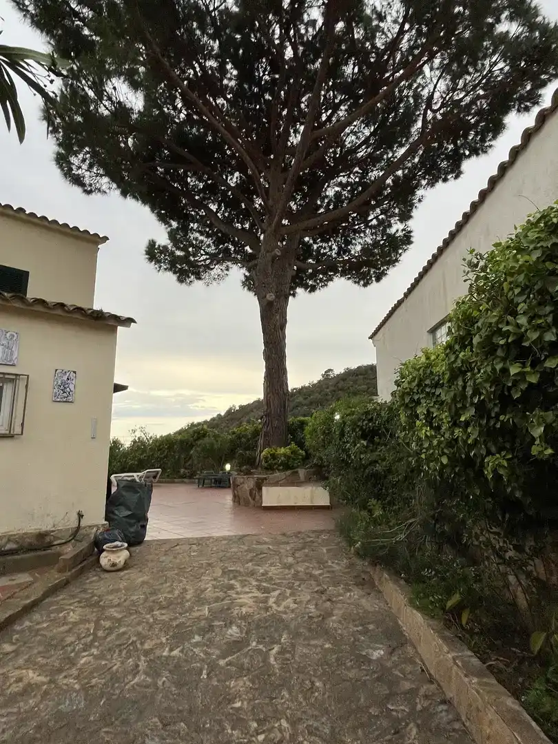 Jardín de Casa o chalet de alquiler en Tossa de Mar con Jardín privado y Amueblado