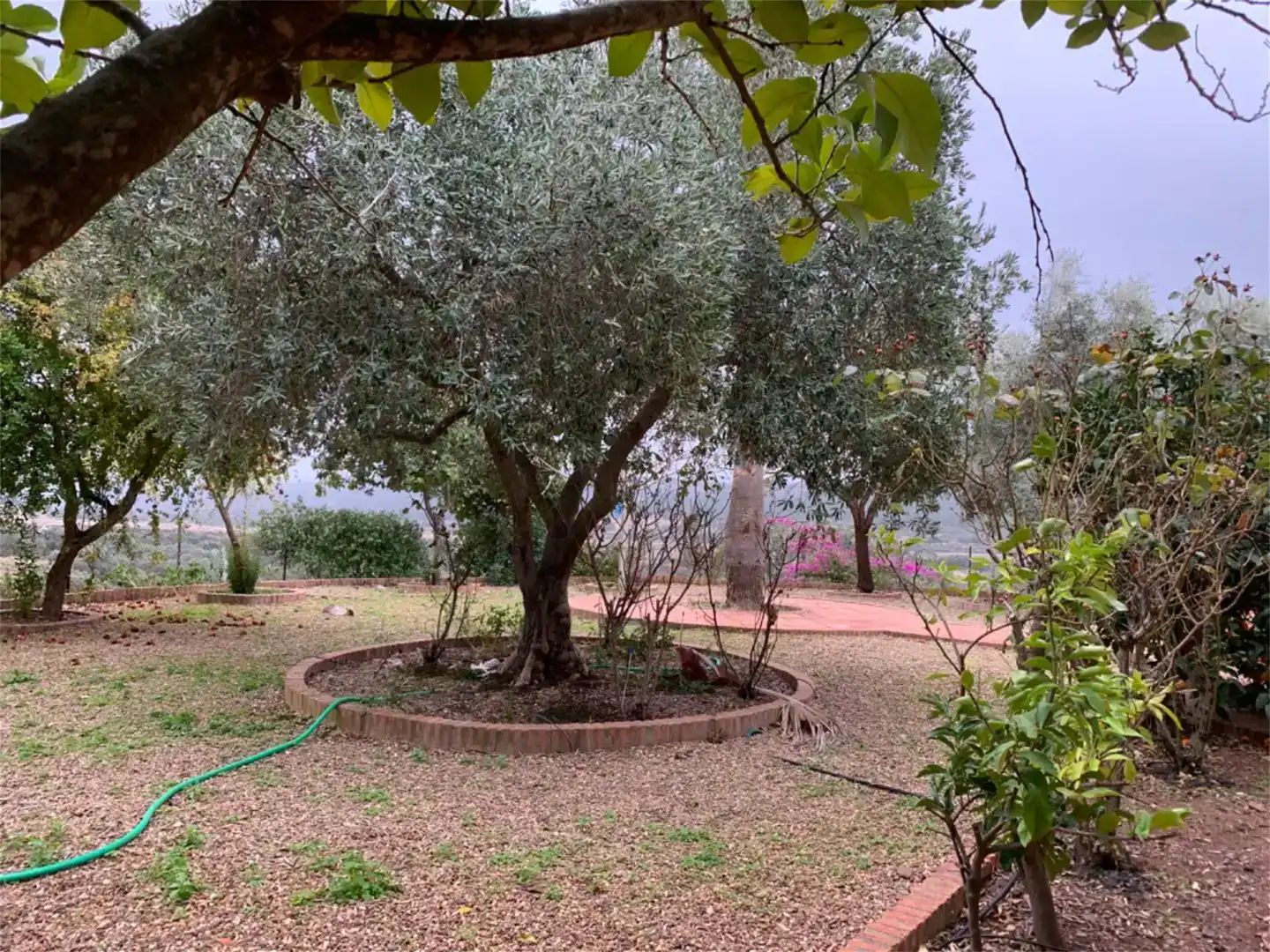 Garden of Country homes for sale in Garbayuela  with Private garden, Storage room and Swimming Pool