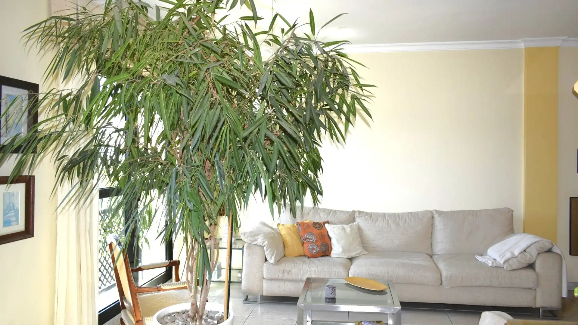 Living room of Flat for sale in Las Palmas de Gran Canaria  with Storage room, Balcony and Internet