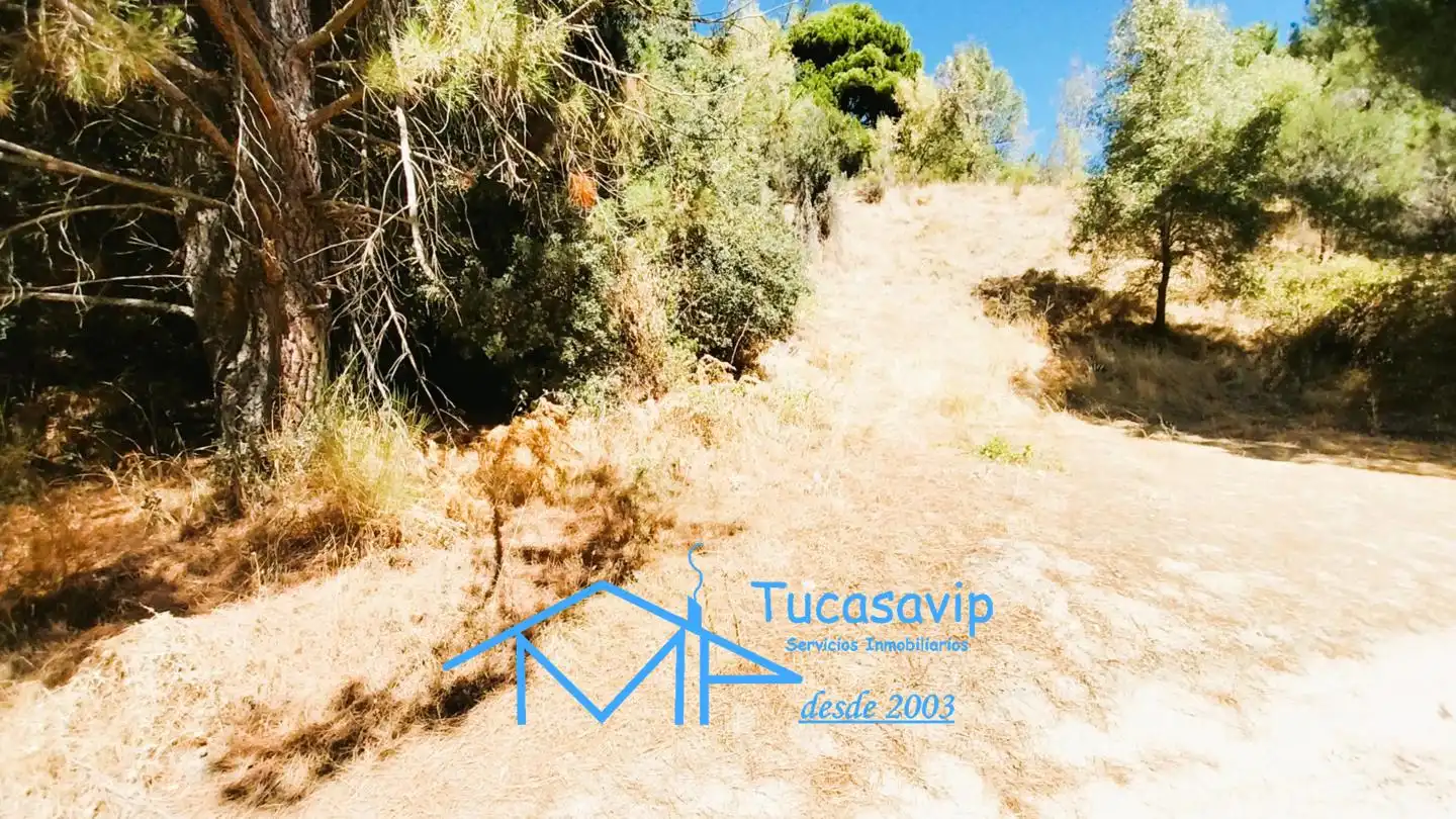 Terreno en venta en Cadalso de los Vidrios