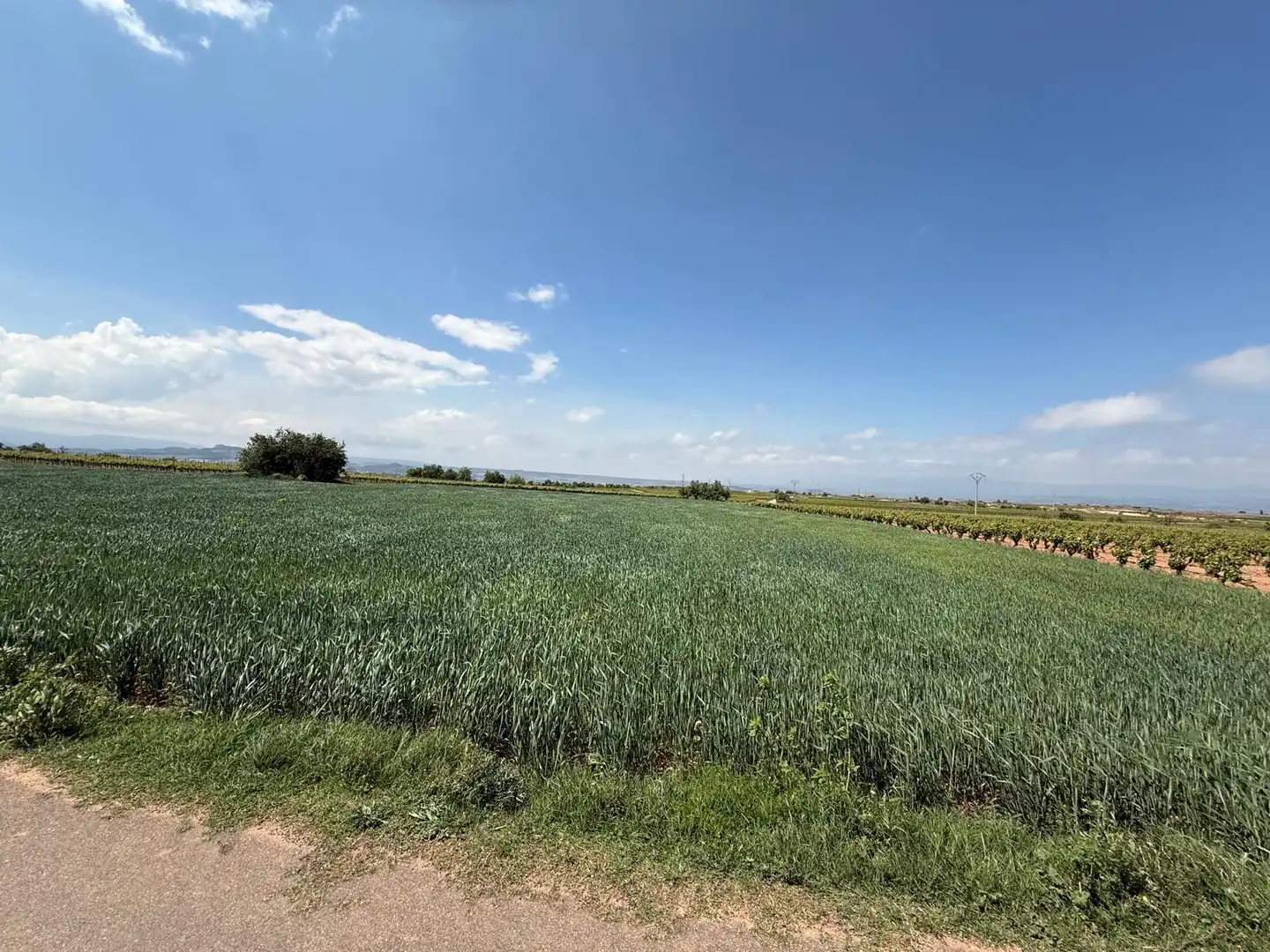 Terreny rústic en venda a Villamediana de Iregua