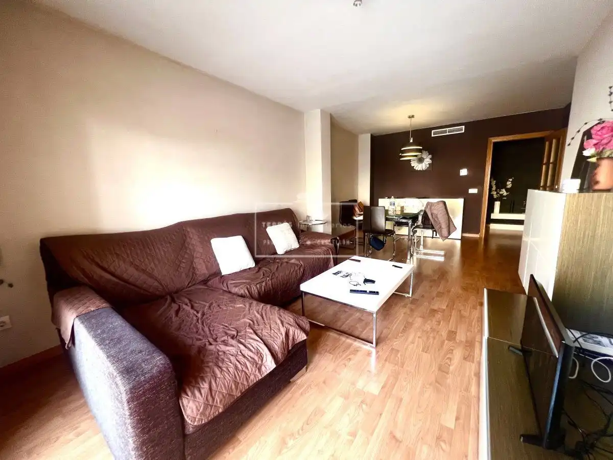 Sala de estar de Piso en venta en Castellón de la Plana / Castelló de la Plana con Aire acondicionado, Calefacción y Terraza