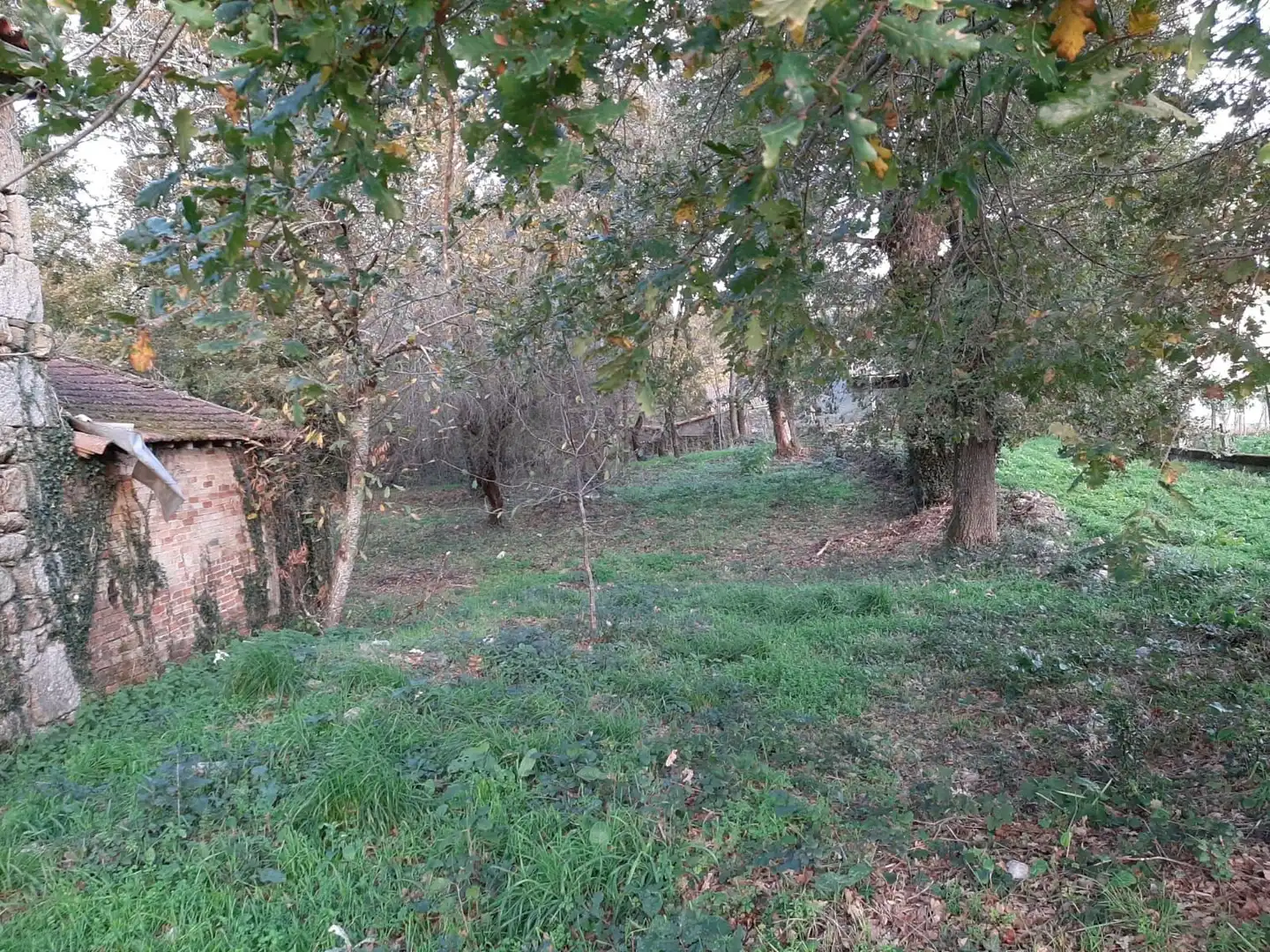 Finca rústica en venta en Maceda con Trastero y Balcón