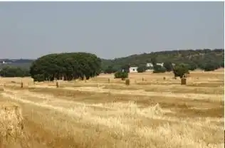 Residential for sale in Ossa de Montiel