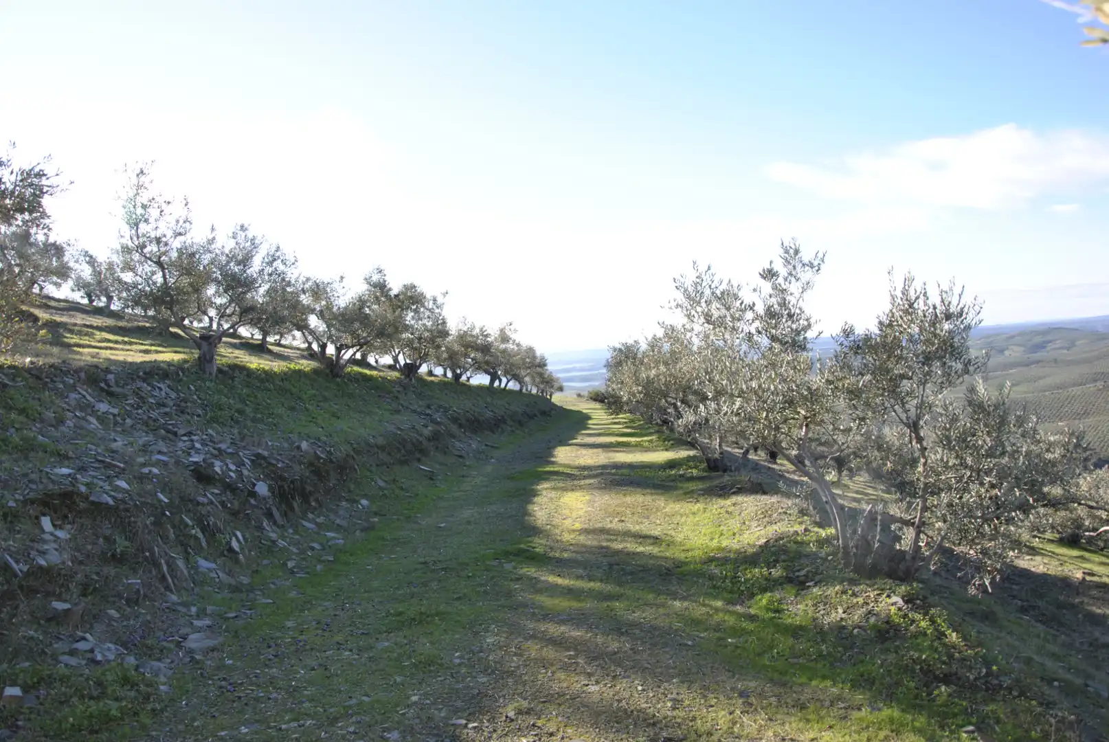 Terreno en venta en La Pesga 