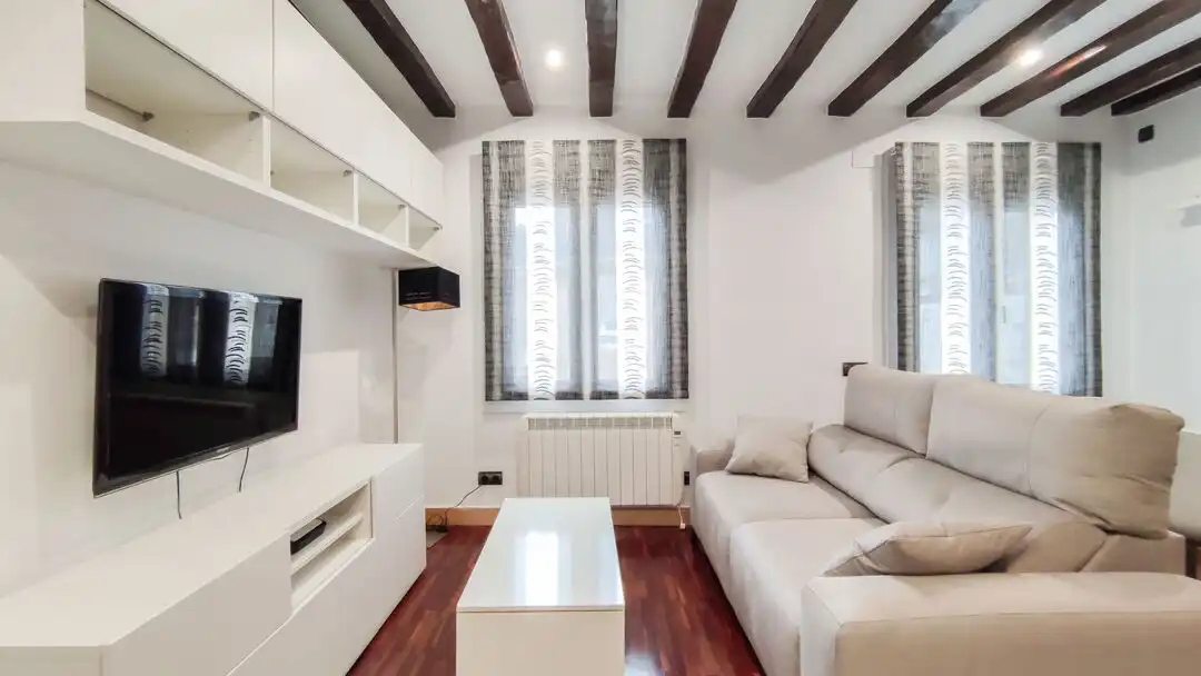 Sala de estar de Piso de alquiler en Donostia - San Sebastián  con Calefacción