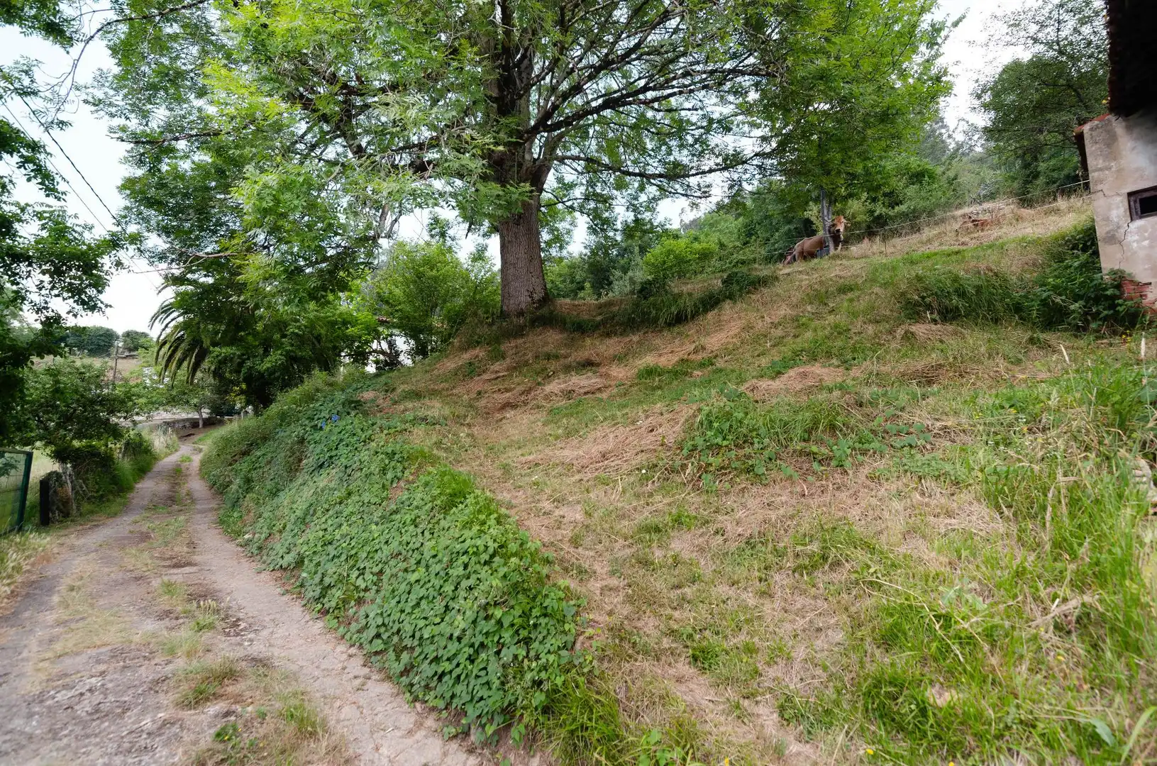Country house zum Verkauf in Oviedo 