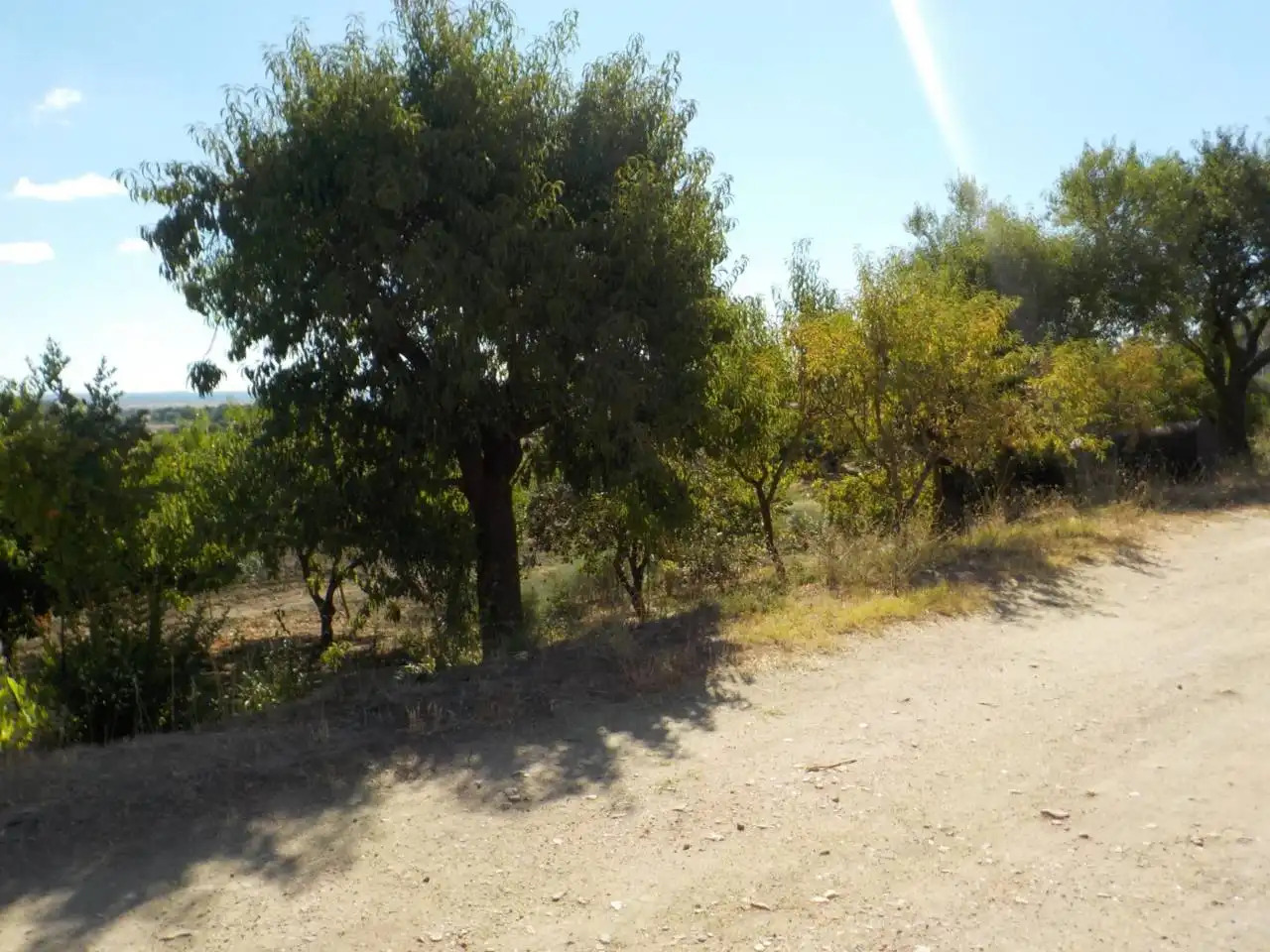 Detached house with garden for sale in Poligono 15, imagen 12