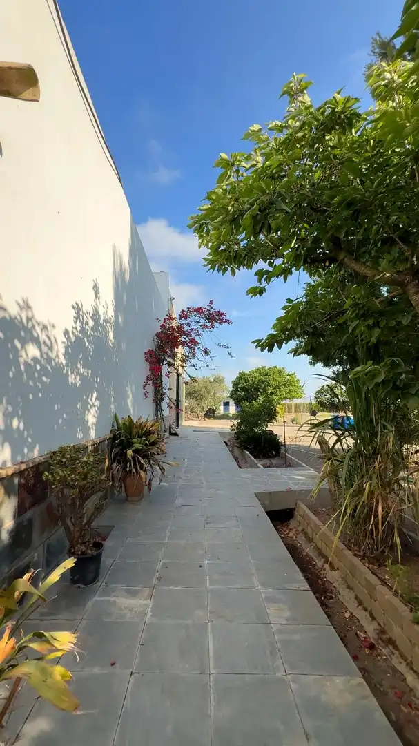 Maison à vendre à Ctra Jerez - Ctra del Puerto, imagen 15