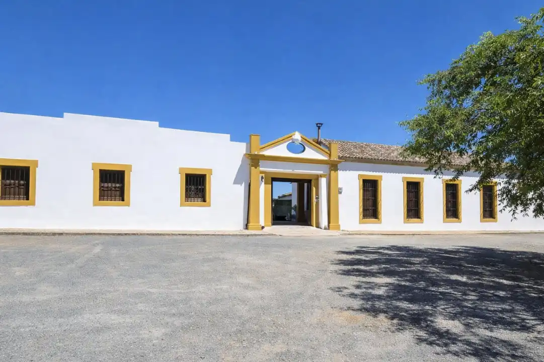 Terreno rustico in vendita a Nervión, imagen 16