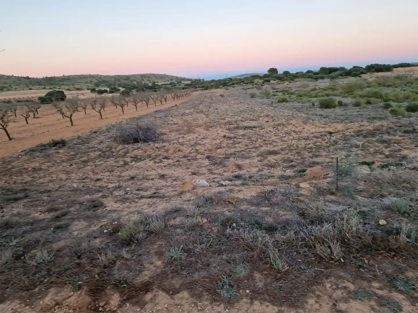 Finca rústica en venda en Pozohondo