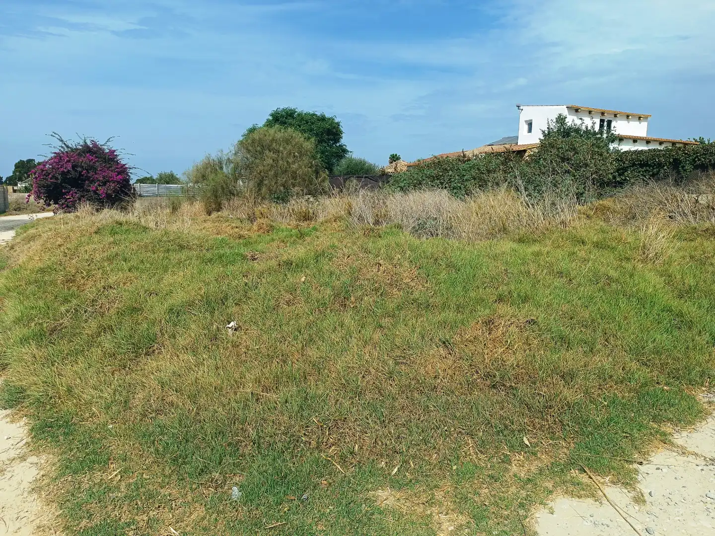 Terreno rustico in vendita a Ctra Sanlúcar - Cuatro Pinos, imagen 2