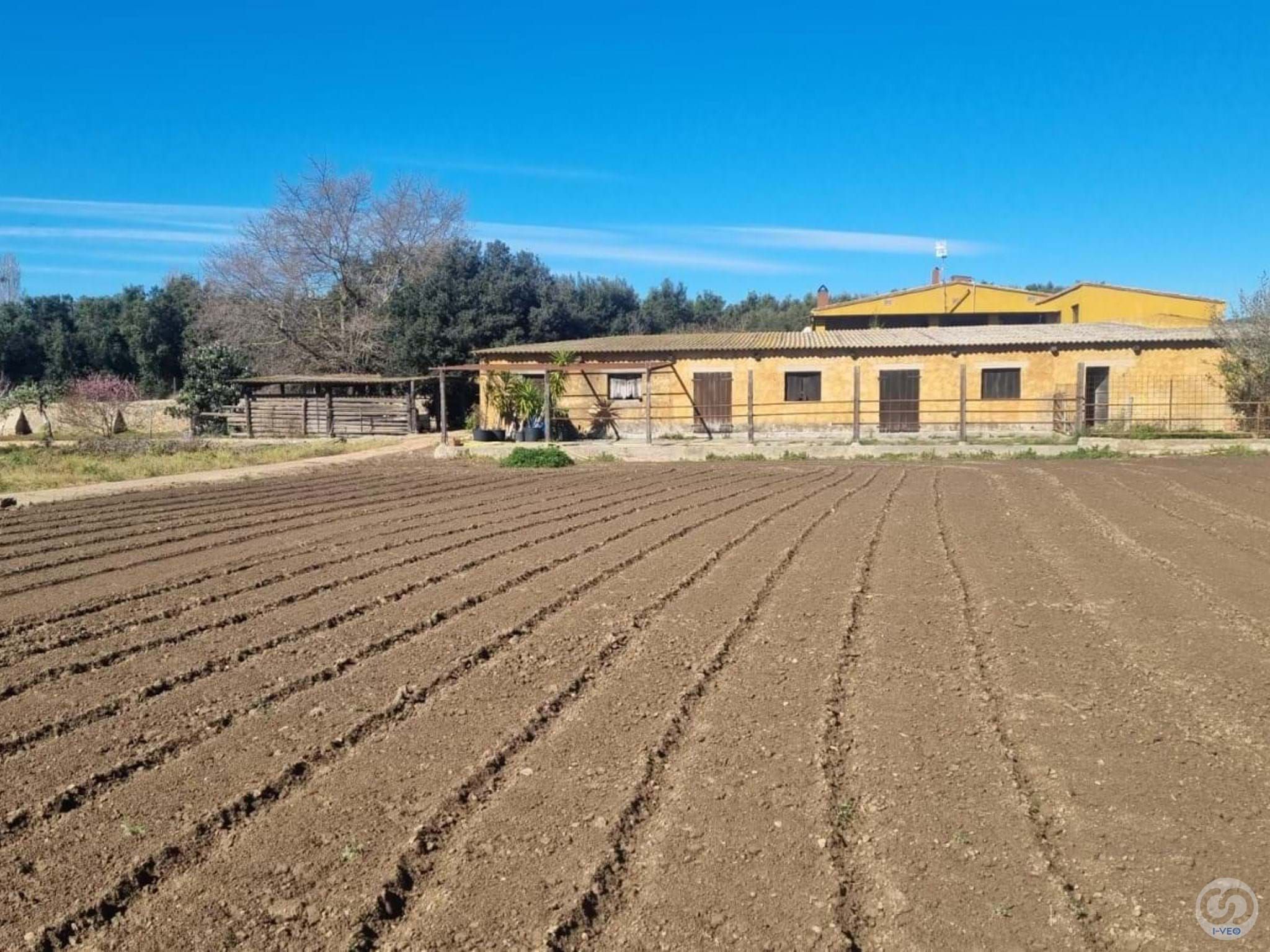 Casa o xalet en venda a Molí de Vent - La Sauleda