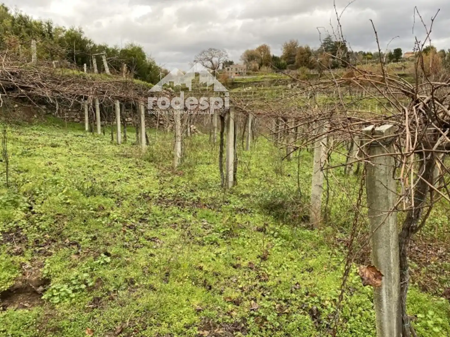Terreny rústic en venda a A Cañiza, imagen 13