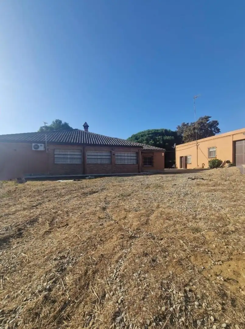 Exterior view of Houses for sale in Puerto Real