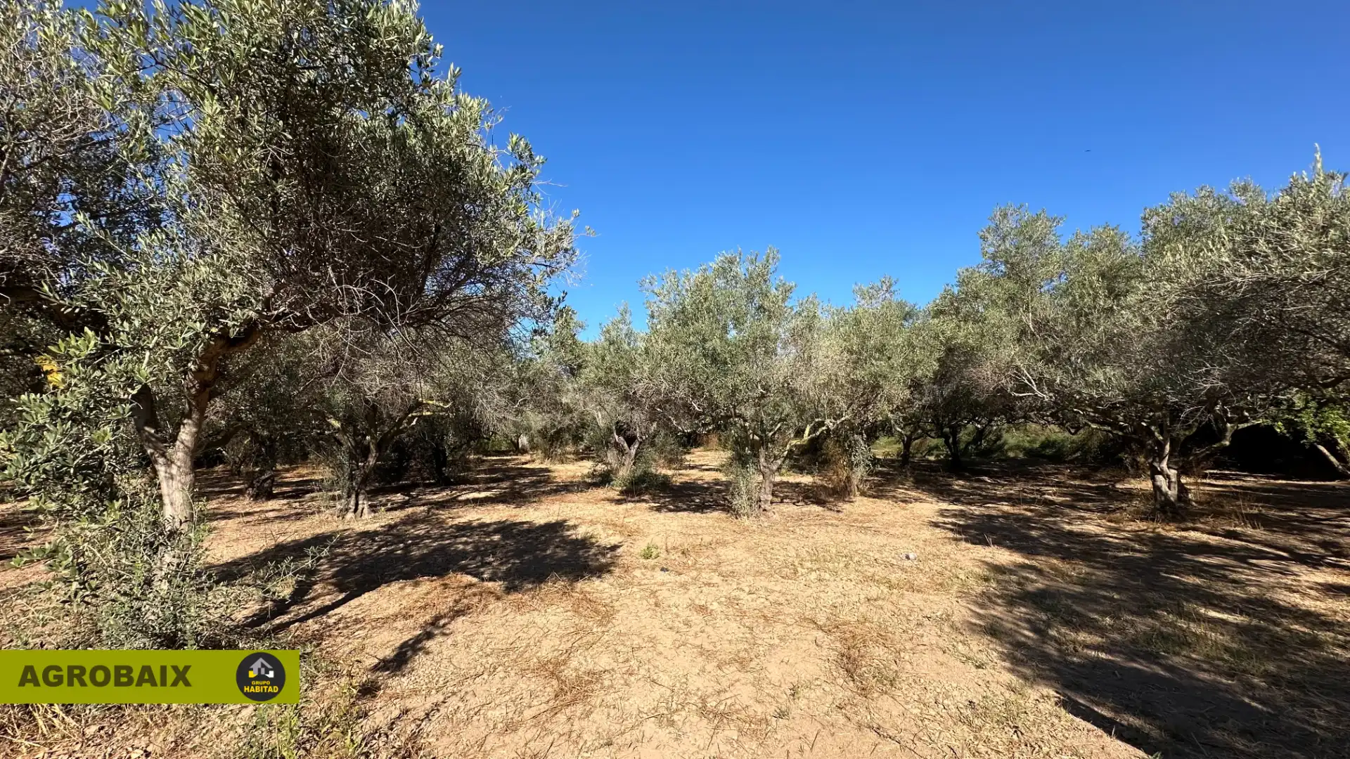 Rural land for sale in BV-2002 114, imagen 22