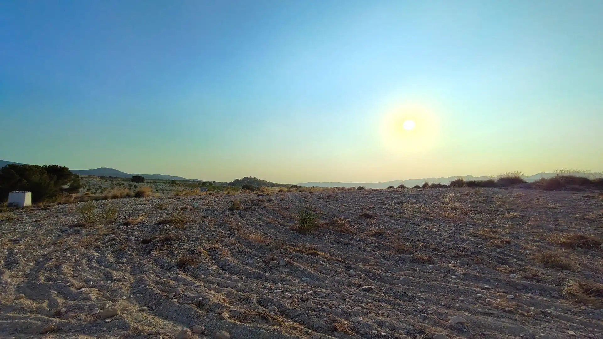 Terreno rustico in vendita a Jumilla, imagen 9