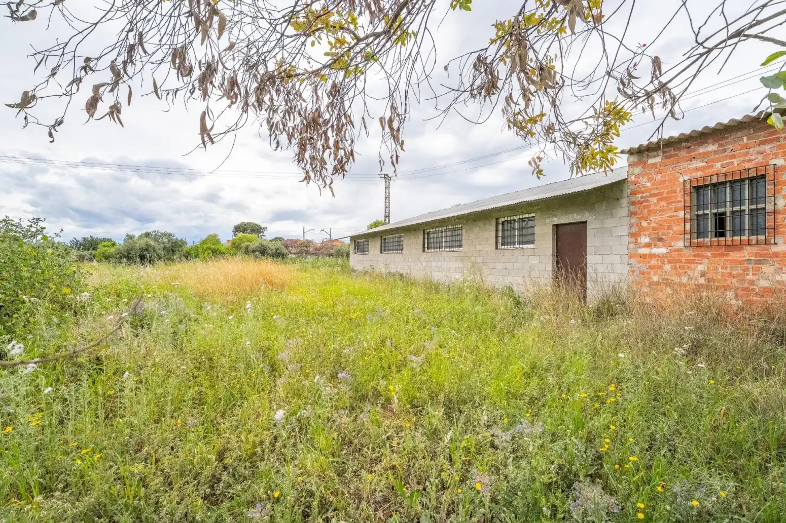 Casa o chalet en venta en Reus - Poligono Polígono 55 Paraje 46 ROJALS, Llevant