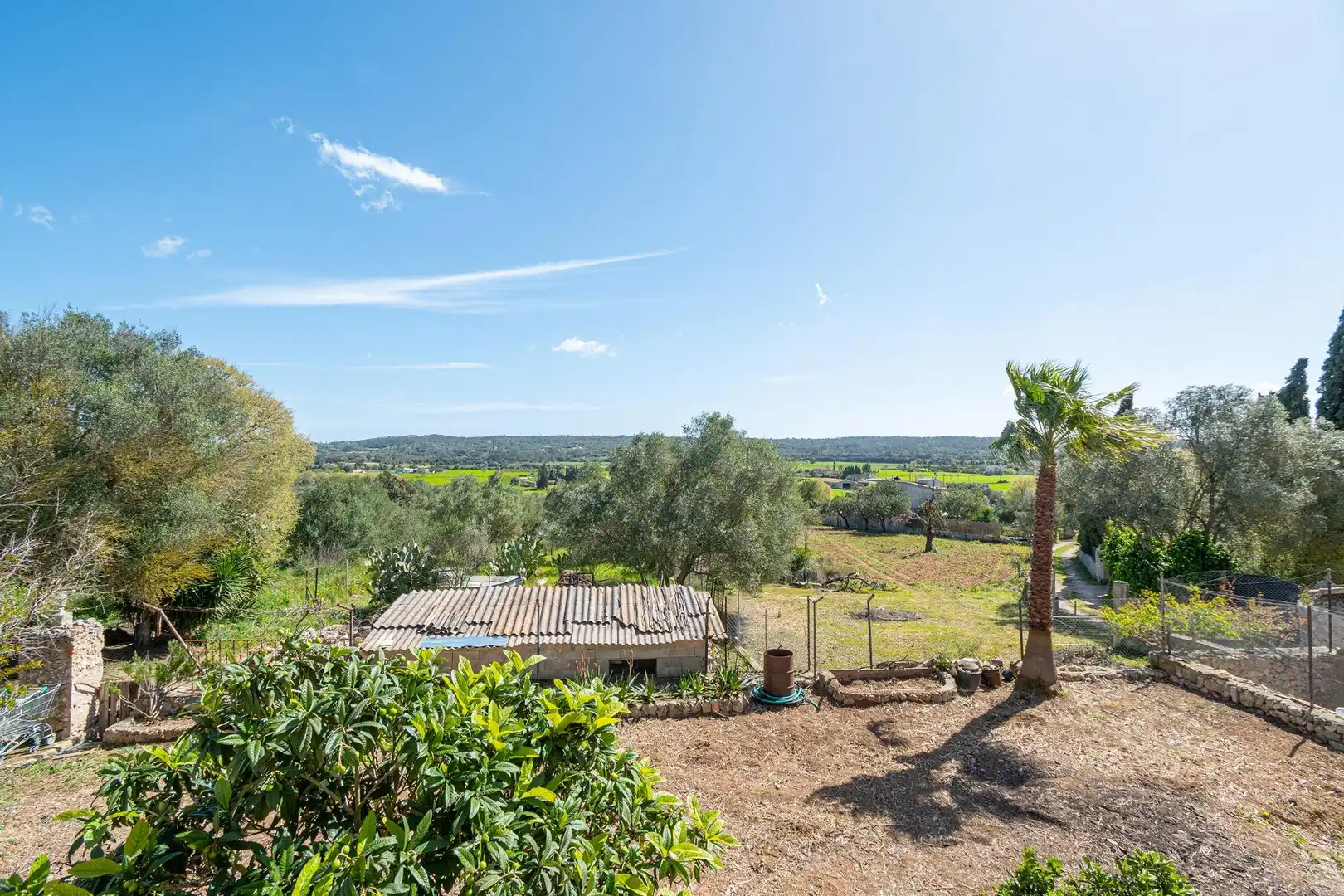 Jardí de Casa o xalet en venda en Sencelles amb Jardí privat, Terrassa i Traster