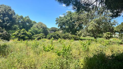 Foto 4 de Finca rústica en venda a Vejer, Vejer de la Frontera