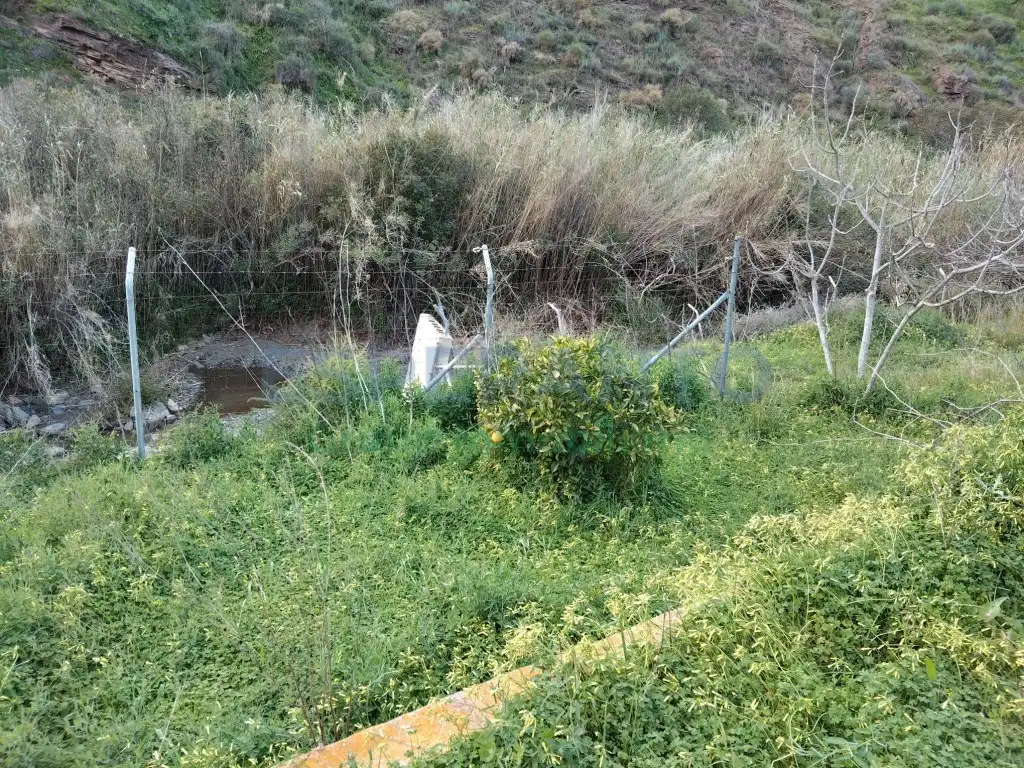 Terreni e lotti in vendita a Totalán, imagen 11