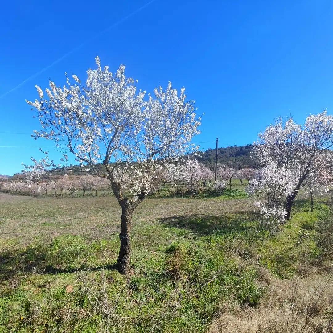 Terreni e lotti in vendita a El Grado
