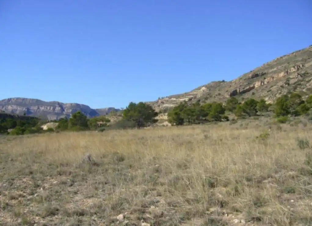 Terreno rustico in vendita a PALOMARETS (ELS)