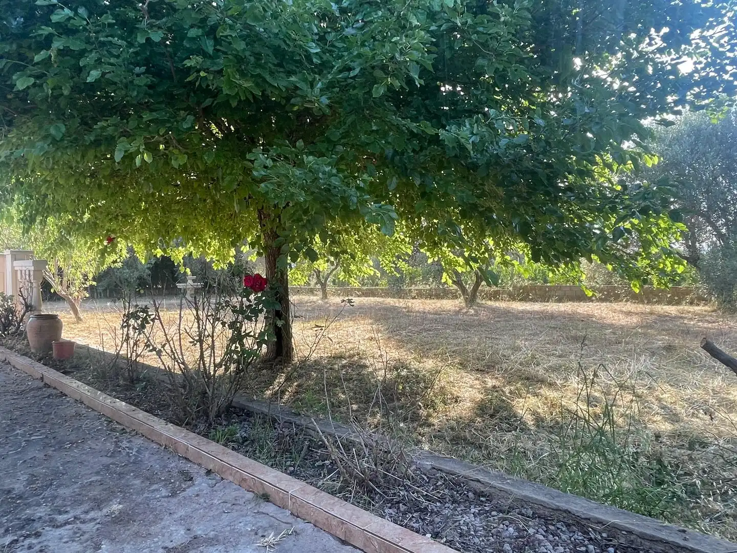 Casa o chalet en venta en Pedralba con Jardín privado, Terraza y Piscina