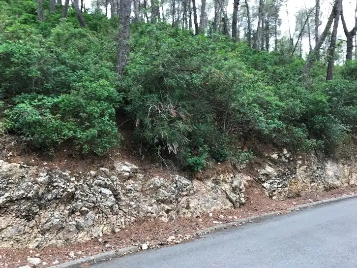 Terrain rustique à vendre à C/ Sorolla, imagen 10